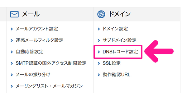 サーチコンソールの初期設定方法 ステップ29：ドメインにある『DNSレコード設定』をクリックする