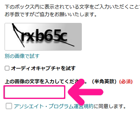 【スキマ時間に稼ぐ】読書アフィリエイトのやり方 ステップ31：画像に表示されている文字を入力する